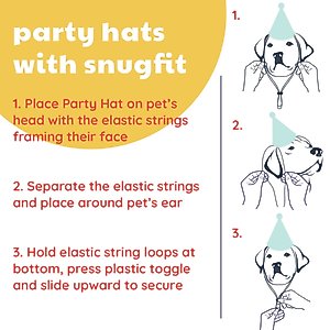 Huxley & Kent Happy Barkday Dog & Cat Party Hat, White/Multicolor, Small