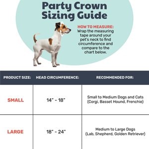 Huxley & Kent Party Crown Dog & Cat Hat, Gold, Large