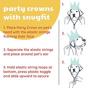 Huxley & Kent Party Crown Dog & Cat Hat, Pink, Large
