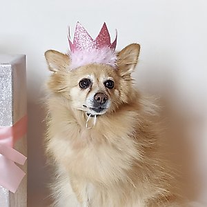 Huxley & Kent Party Crown Dog & Cat Hat, Pink, Small