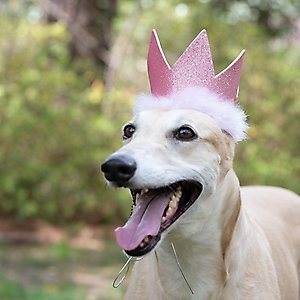 Huxley & Kent Party Crown Dog & Cat Hat, Pink, Small