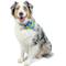 Show in main carousel: Huxley & Kent Party Time 2.0 Dog & Cat Bandana, Blue, Large slide 4 of 9