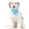 Show in main carousel: Huxley & Kent Party Time 2.0 Dog & Cat Bandana, Blue, Small slide 5 of 9