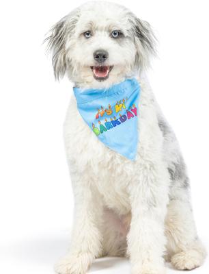 Show full view: Huxley & Kent Party Time 2.0 Dog & Cat Bandana, Blue, Small slide 5 of 9