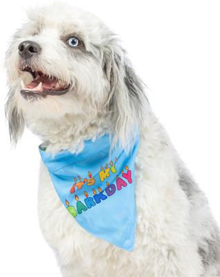 Show full view: Huxley & Kent Party Time 2.0 Dog & Cat Bandana, Blue, Small slide 6 of 9