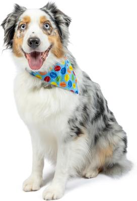 Show full view: Huxley & Kent Party Time 2.0 Dog & Cat Bandana, Blue, Small slide 4 of 9