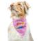 Show in main carousel: Huxley & Kent Party Time 2.0 Dog & Cat Bandana, Pink, Small slide 6 of 9