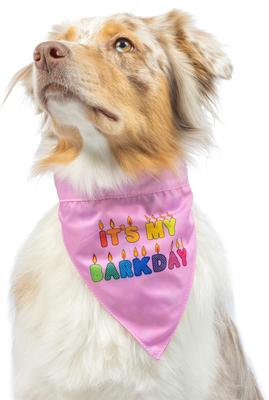 Show full view: Huxley & Kent Party Time 2.0 Dog & Cat Bandana, Pink, Small slide 6 of 9