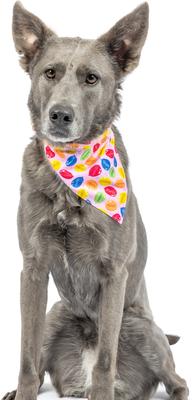 Show full view: Huxley & Kent Party Time 2.0 Dog & Cat Bandana, Pink, Small slide 4 of 9