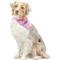 Show in main carousel: Huxley & Kent Party Time 2.0 Dog & Cat Bandana, Pink, Small slide 5 of 9