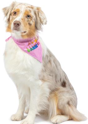 Show full view: Huxley & Kent Party Time 2.0 Dog & Cat Bandana, Pink, Small slide 5 of 9