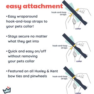 Huxley & Kent Party Time Dog & Cat Bow Tie, Blue, Small