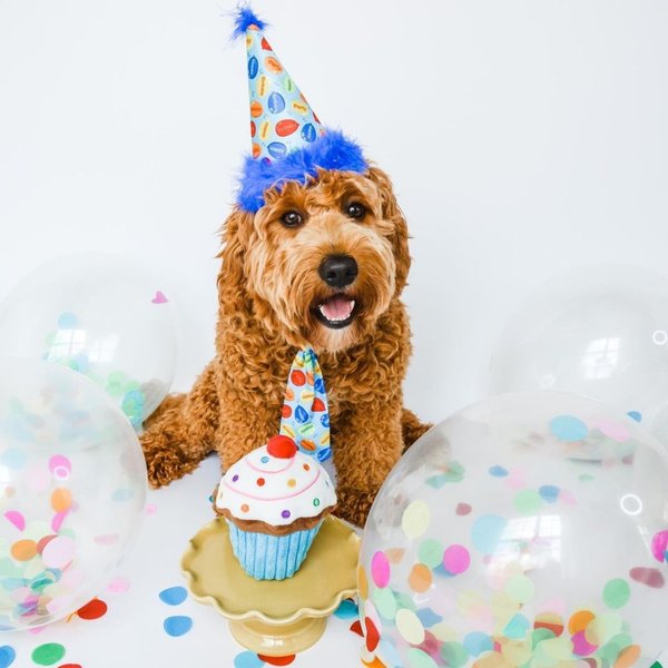 Show full view: Huxley & Kent Party Time Dog & Cat Party Hat, Blue, Large slide 5 of 9