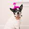 Show in main carousel: Huxley & Kent Party Time Dog & Cat Party Hat, Pink, Large slide 5 of 11