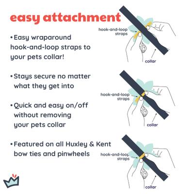 Show full view: Huxley & Kent Party Time Pinwheel Dog & Cat Collar Accessory, Multicolor, Large slide 4 of 6