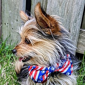 Huxley & Kent Paws & Stripes Dog & Cat Bow Tie, Red/White/Blue, Large