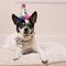 Show in main carousel: Huxley & Kent Superstar Dog & Cat Party Hat, Silver, Large slide 5 of 9