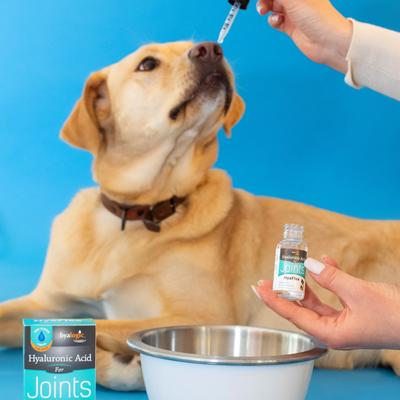 Show full view: Hyalogic HyaFlex Hyalogic Hyaluronic Acid Hip & Joint Dog Supplement, 1-fl oz bottle slide 7 of 9