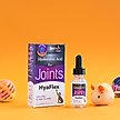 Show in main carousel: Hyalogic HyaFlex Hyalogic Hyaluronic Acid Hip & Joint Formula Cat Supplement, 1-fl oz bottle slide 6 of 9
