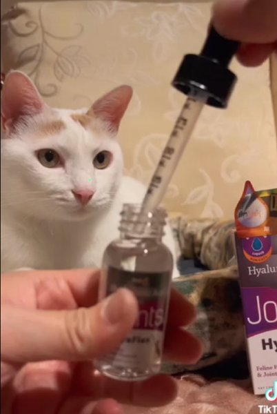 Show full view: Hyalogic HyaFlex Hyalogic Hyaluronic Acid Hip & Joint Formula Cat Supplement, 1-fl oz bottle slide 7 of 9