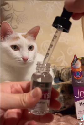 Show full view: Hyalogic HyaFlex Hyalogic Hyaluronic Acid Hip & Joint Formula Cat Supplement, 1-fl oz bottle slide 8 of 10