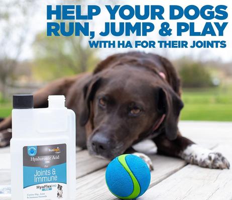 Show full view: Hyalogic HyaFlex Hyalogic Pro Pure Hyaluronic Acid Zinc Joint & Immune Support Dog Supplement, 8-fl oz bottle slide 5 of 10