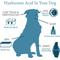 Show in main carousel: Hyalogic HyaFlex Hyalogic Pro Pure Hyaluronic Acid Zinc Joint & Immune Support Dog Supplement, 8-fl oz bottle slide 6 of 10