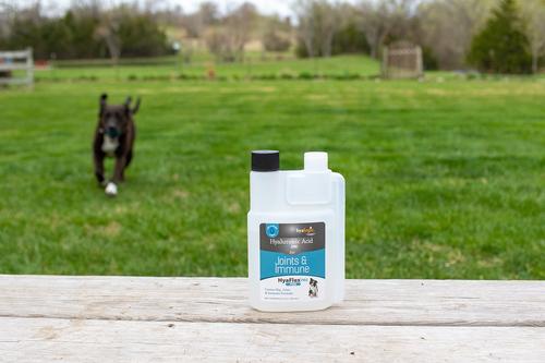 Show full view: Hyalogic HyaFlex Hyalogic Pro Pure Hyaluronic Acid Zinc Joint & Immune Support Dog Supplement, 8-fl oz bottle slide 7 of 10