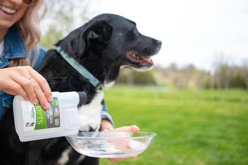 Show full view: Hyalogic HyaFlex Pro Hyaluronic Acid Complete Joint Support Dog Supplement, 8-fl oz bottle slide 4 of 10