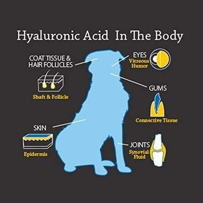 Show full view: Hyalogic HyaFlex Pro Hyaluronic Acid Complete Joint Support Dog Supplement, 8-fl oz bottle slide 5 of 10