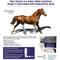Show in main carousel: Hyalogic Hyaluronic Acid Joint Support Liquid Horse Supplement, 270-mL bottle slide 3 of 8