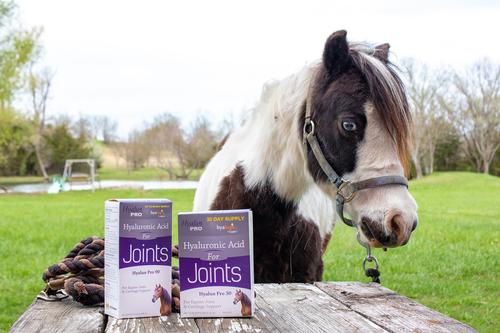 Show full view: Hyalogic Hyaluronic Acid Joint Support Liquid Horse Supplement, 270-mL bottle slide 8 of 8