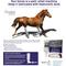 Show in main carousel: Hyalogic Hyaluronic Acid Joint Support Liquid Horse Supplement, 90-mL bottle slide 4 of 8
