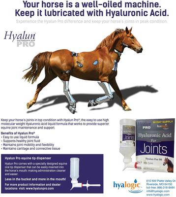 Show full view: Hyalogic Pro Gel Hyaluronic Acid Joint & Cartilage Care Gel Horse Supplement, 1-fl oz syringe slide 3 of 6