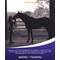 Show in main carousel: Hyalogic Pro Gel Hyaluronic Acid Joint & Cartilage Care Gel Horse Supplement, 1-fl oz syringe slide 6 of 6