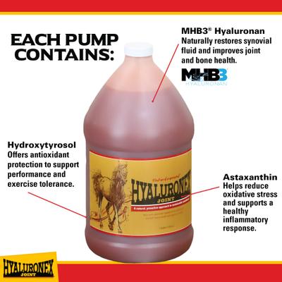 Show full view: Vitalize Hyaluronex Joint Support Liquid Horse Supplement, 128-fl oz bottle slide 3 of 5
