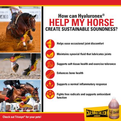 Show full view: Vitalize Hyaluronex Joint Support Liquid Horse Supplement, 128-fl oz bottle slide 4 of 5