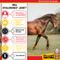 Show in main carousel: Vitalize Hyaluronex Joint Support Liquid Horse Supplement, 128-fl oz bottle slide 5 of 5