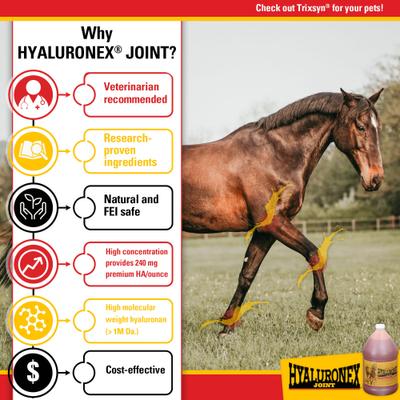 Show full view: Vitalize Hyaluronex Joint Support Liquid Horse Supplement, 128-fl oz bottle slide 5 of 5