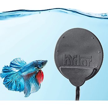 Betta Fish Heater Chewy