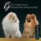 Show in main carousel: Hydra Retail Gentle Cat & Dog Shampoo, 10.14-fl oz bottle slide 4 of 5