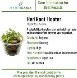 HydrOasis Aquatic Starter Bundle Freshwater Fish Plant slide 2 of 9