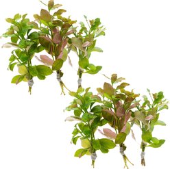 HydrOasis Ludwigia Ovalis Submerged Bunched Reg Freshwater Fish Plant, 6 count