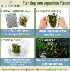 HydrOasis Red Myrio Submerged Bunched Reg Freshwater Fish Plant, 6 count slide 2 of 7