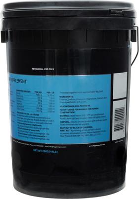 Show full view: Hygain Regain Horse Supplement, 11-lb tub slide 3 of 4