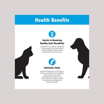 Show full view: HylaMAX Liquid Joint Supplement for Dogs, Cats & Horses, 32-fl oz bottle slide 4 of 11