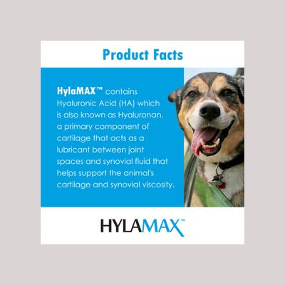 Show full view: HylaMAX Liquid Joint Supplement for Dogs, Cats & Horses, 32-fl oz bottle slide 7 of 11
