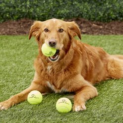 Hyper Pet 4 Pack of Balls for Dogs, Green, Regular slide 2 of 4