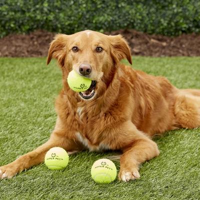 Show full view: Hyper Pet 4 Pack of Balls for Dogs, Green, Regular slide 2 of 7