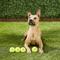 Show in main carousel: Hyper Pet 4 Pack of Balls for Dogs, Green, Regular slide 3 of 7